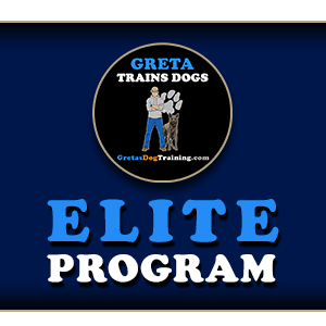 Elite Program
